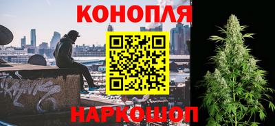 шишки Пенза