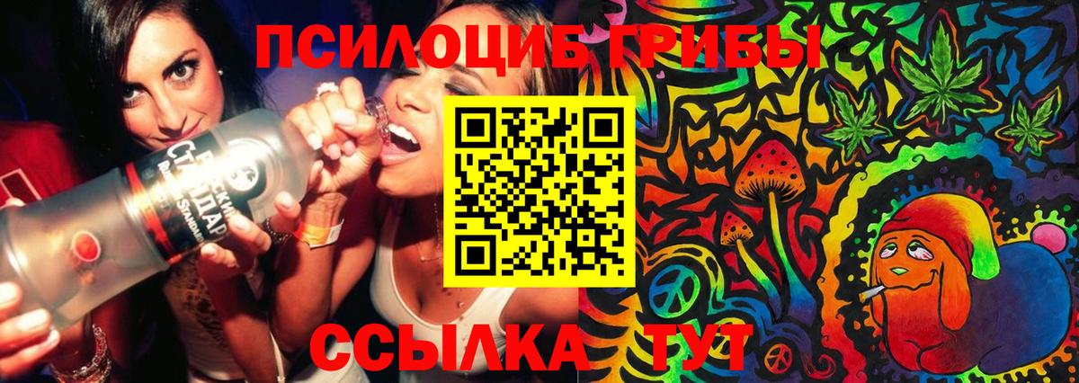 Галлюциногенные грибы GOLDEN TEACHER  Псилоцибиновые грибы прущие грибы  Тосно  Вход с VPN 