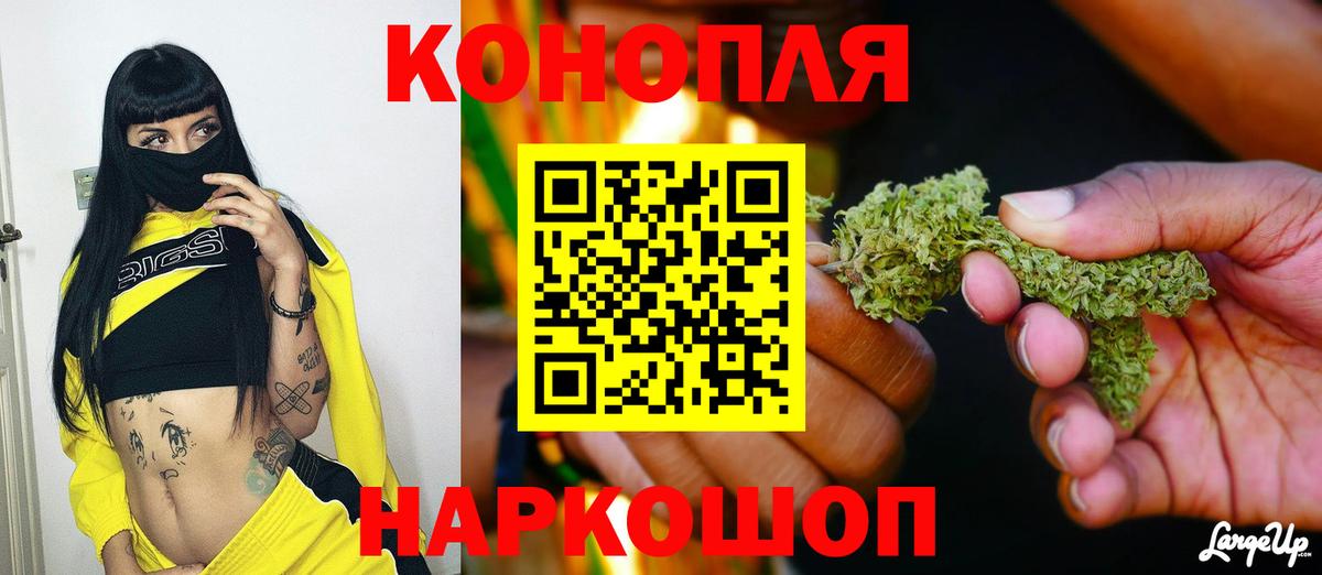 Тосно  Марихуана MAZAR  Вход с VPN  Конопля семена  Шишки марихуана тримм  Бошки Шишки OG Kush 